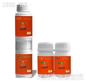 5%x(chng)+10%Ч-+FT(mn)V-ֲ