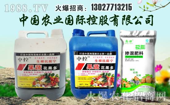 【中國(guó)農(nóng)業(yè)國(guó)際控股】祝您合家歡樂、萬事如意!