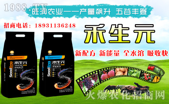 【旺潤(rùn)農(nóng)業(yè)】給您拜年啦!祝您新春大吉,萬事如意!