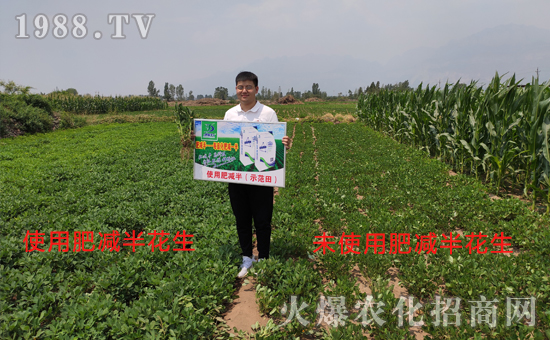     好產(chǎn)品用事實(shí)說(shuō)話(huà)，“肥減半”用過(guò)的農(nóng)戶(hù)都說(shuō)好！