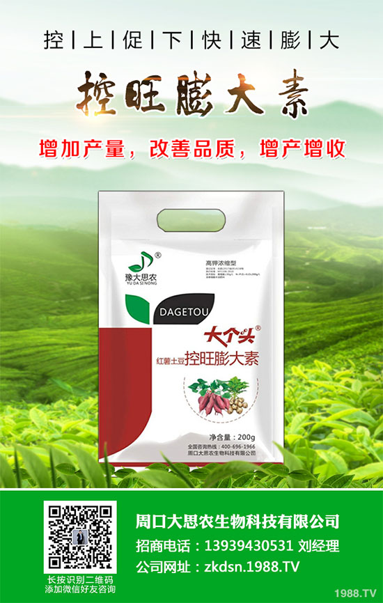 冬小麥播種后出苗不齊是怎么回事？小麥出苗不好預(yù)防措施！