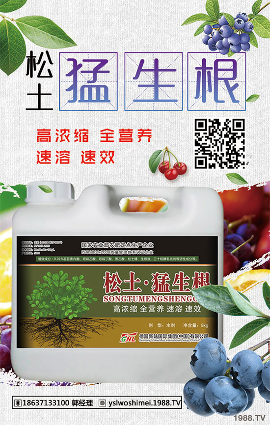 小麥苗期為什么死苗嚴(yán)重？小麥出苗期死苗咋補(bǔ)救？