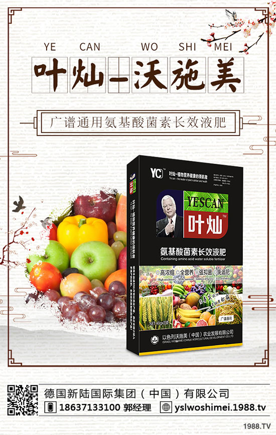 冬小麥為什么出現(xiàn)黃苗，死苗？冬小麥黃苗，死苗防治措施！