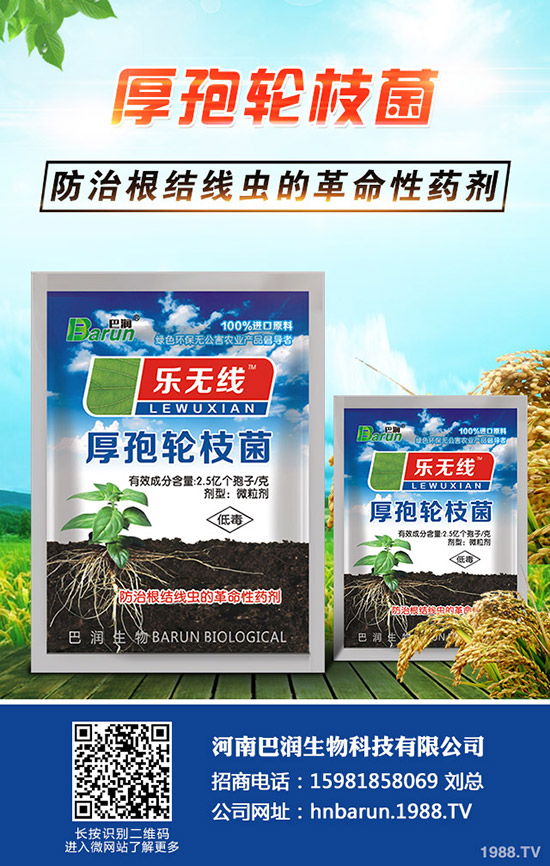 三角梅怎么養(yǎng)，三角梅的養(yǎng)殖方法和注意事項(xiàng)！