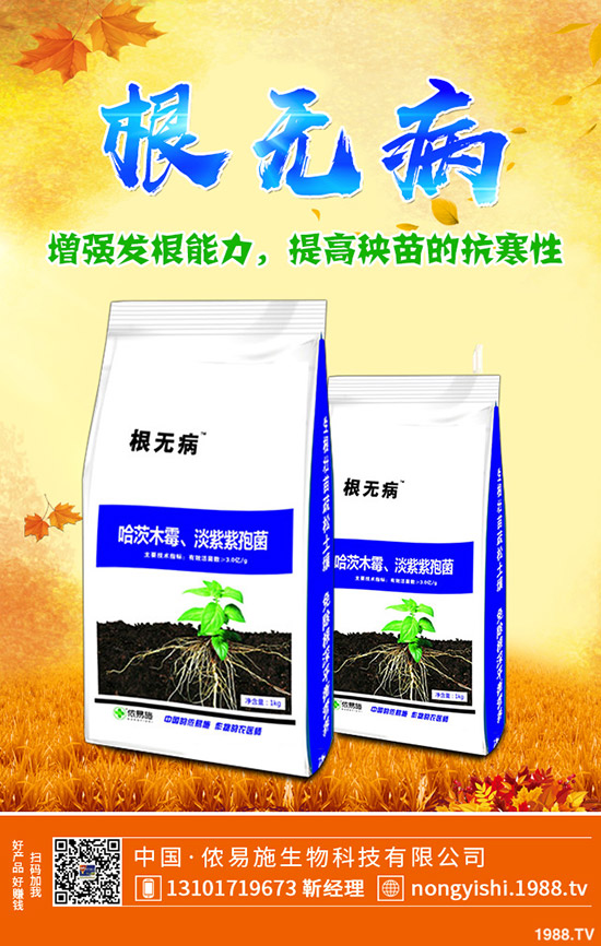     葡萄是熱性還是涼性？與葡萄相克的食物有哪些？