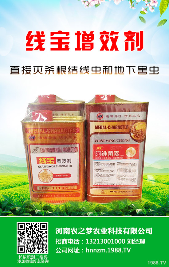 芹菜發(fā)芽慢如何解決？芹菜的催芽小技巧！