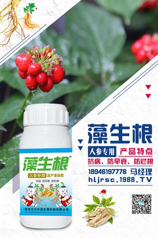 茄子得了褐紋病怎么辦？茄子褐紋病的防治方法！