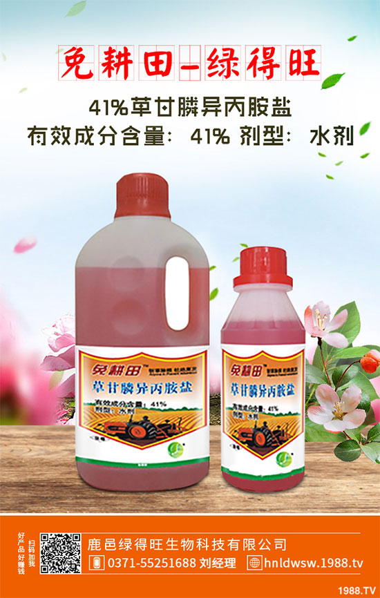 小白菜遇到白斑病該怎么辦？白菜白斑病防治措施