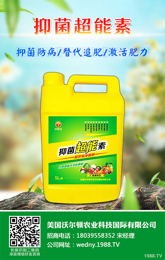 小白菜遇到白斑病該怎么辦？白菜白斑病防治措施