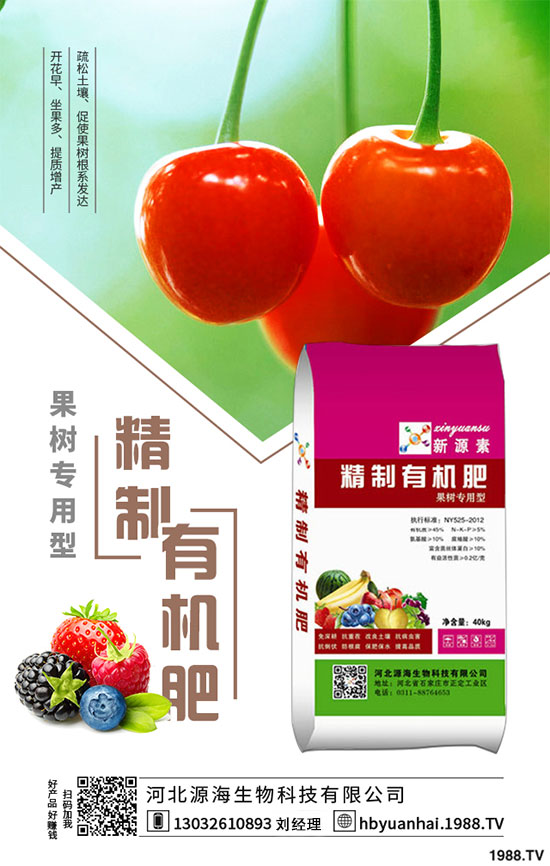 菠菜的生長(zhǎng)習(xí)性如何？如何提高菠菜的產(chǎn)量？