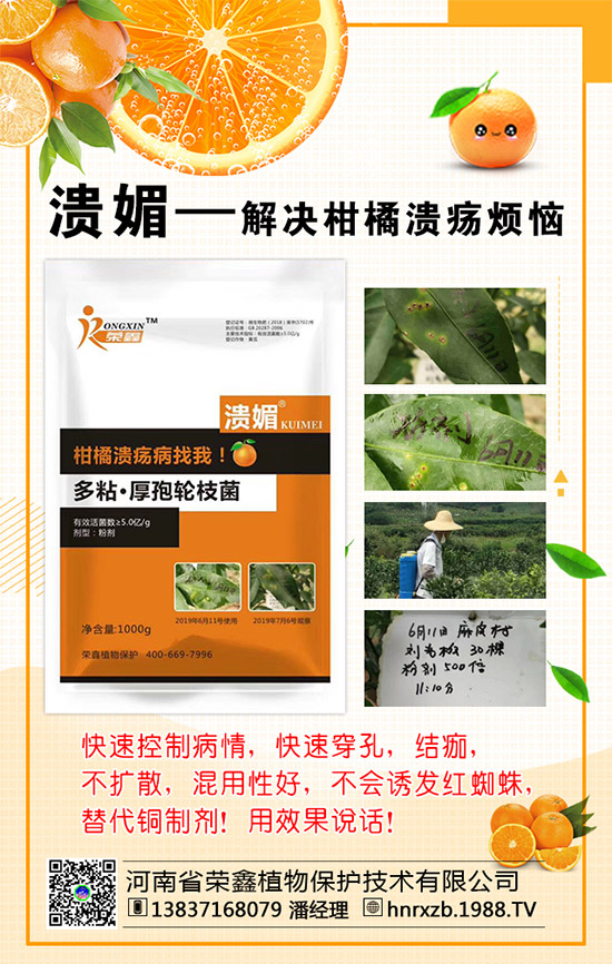 菠菜的營養(yǎng)價值，吃菠菜的好處有哪些？
