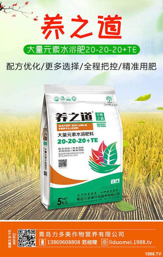 白菜白銹病危害這么大，到底該如何防治？白菜白銹病防治措施