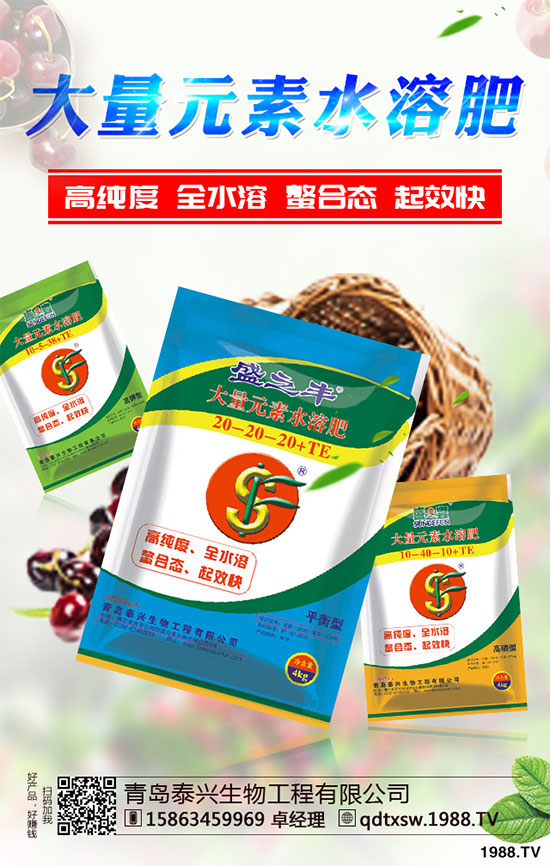 白菜根腐病有哪些危害癥狀？該如何防治？白菜根腫病的識(shí)別與防治！