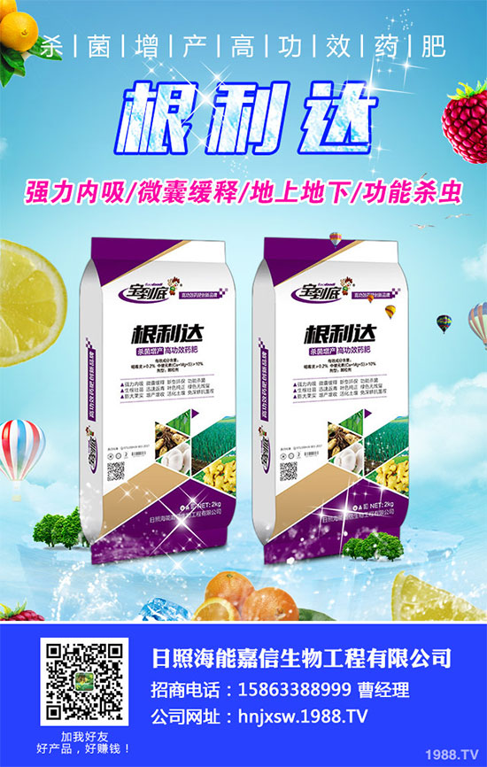 白菜根腐病有哪些危害癥狀？該如何防治？白菜根腫病的識(shí)別與防治！