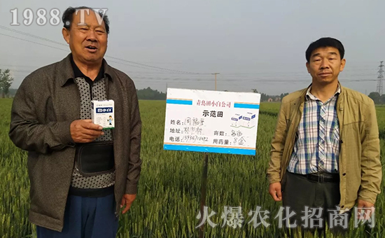 節(jié)節(jié)麥如何防除，用什么藥？