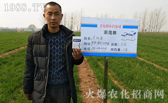 節(jié)節(jié)麥如何防除，用什么藥？