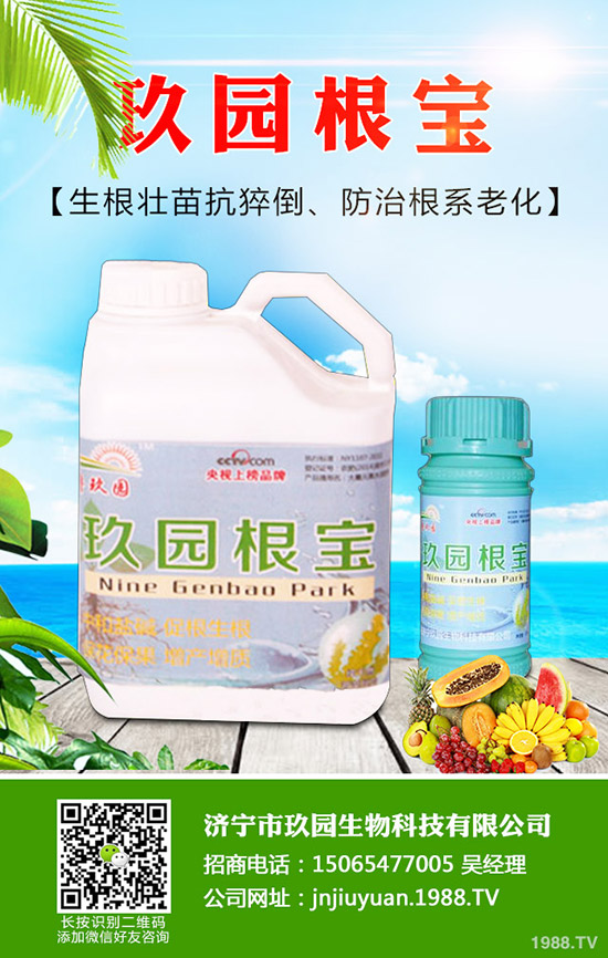 菠菜蚜蟲如何防？菠菜蚜蟲的危害及發(fā)生規(guī)律！