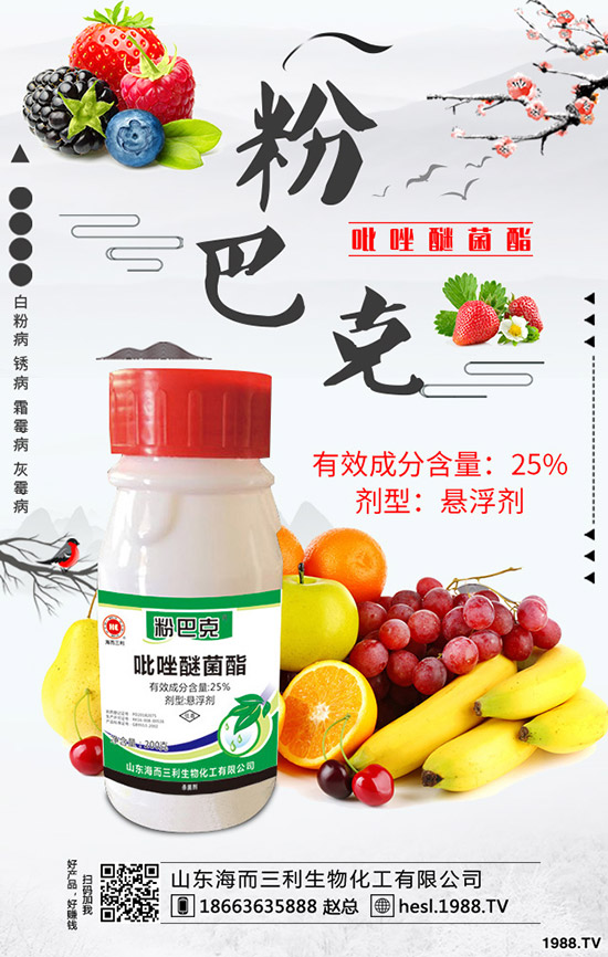 2020年蘆筍種植前景怎么樣？蘆筍如何種植？
