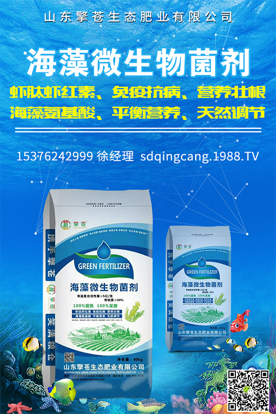 油麥菜霜霉病有哪些危害癥狀？有哪些表現(xiàn)？油麥菜霜霉病的防治措施