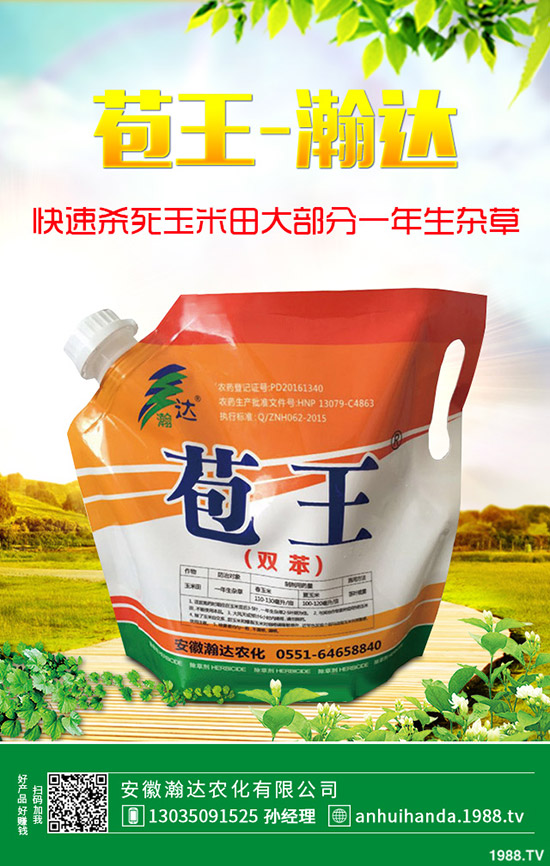 早春韭菜怎么施肥？韭菜施肥方法和注意事項(xiàng)！