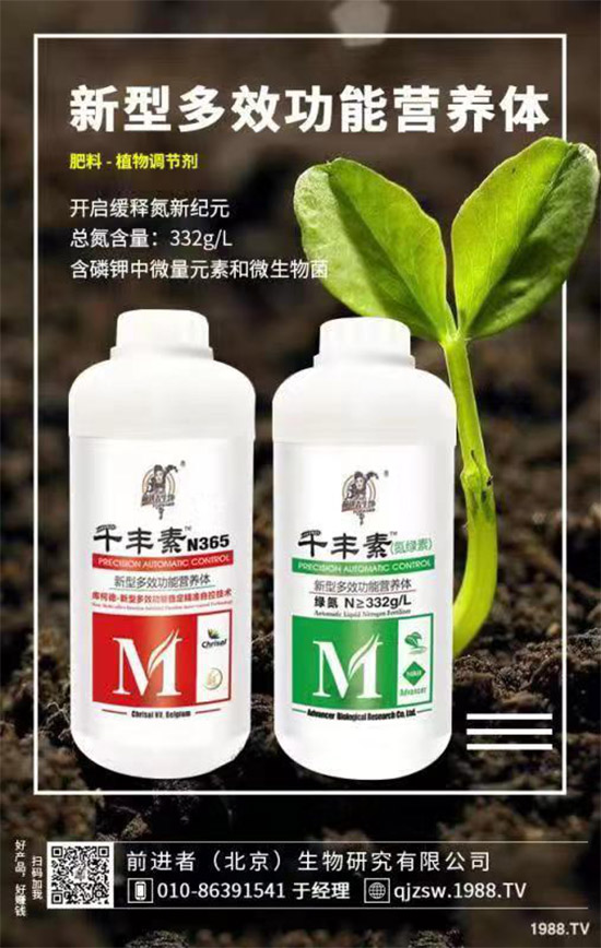 花生爛果怎么回事？花生爛果的防治措施！