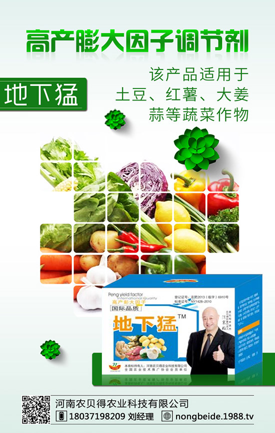 有機(jī)大白菜的種植要點(diǎn)您知道嗎？有機(jī)大白菜種植技術(shù)！