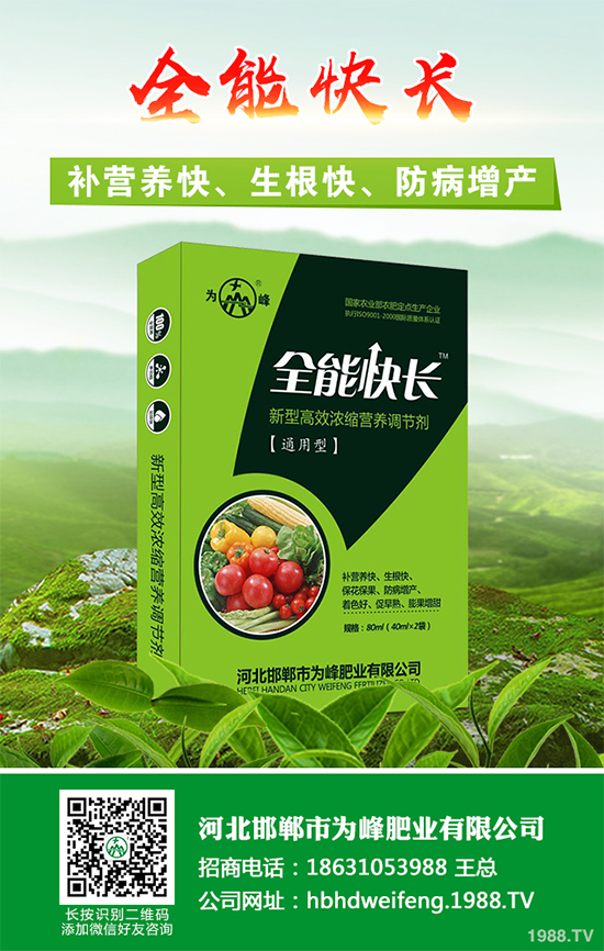 五味子樹該如何種植?五味子規(guī)?;N植技術(shù)