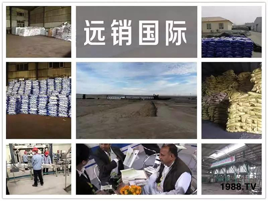 礦源黃腐酸鉀——精品肥！1公斤=8噸有機肥！新疆源頭直發(fā)?。?！