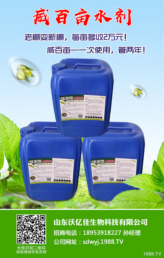 甜瓜什么時候種植？甜瓜怎么種植能高產(chǎn)？