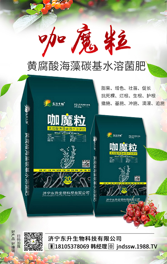 大棚草莓旺長的原因，大棚草莓旺長解決措施
