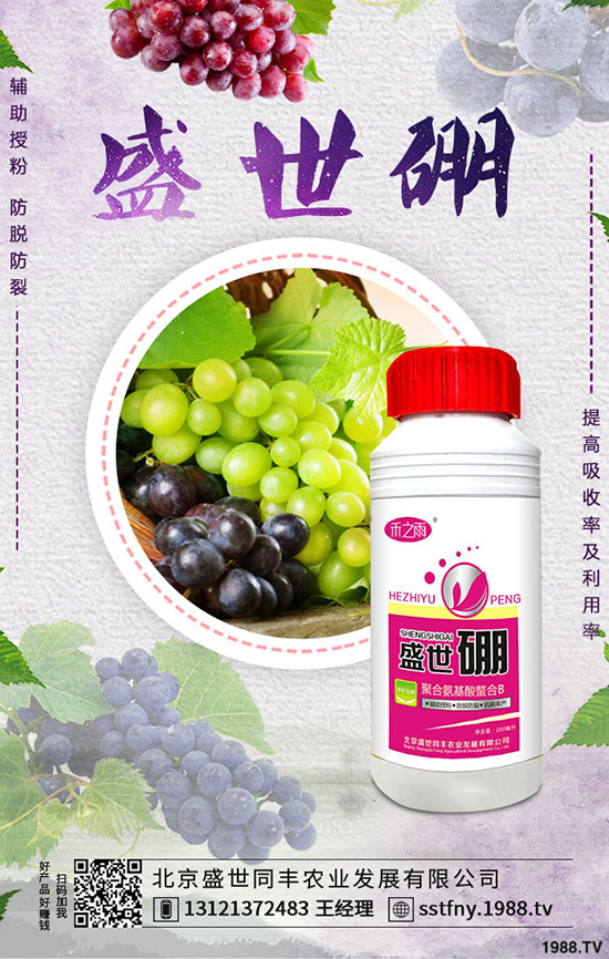 西葫蘆早疫病的發(fā)病原因是什么？如何防治西葫蘆早疫病？