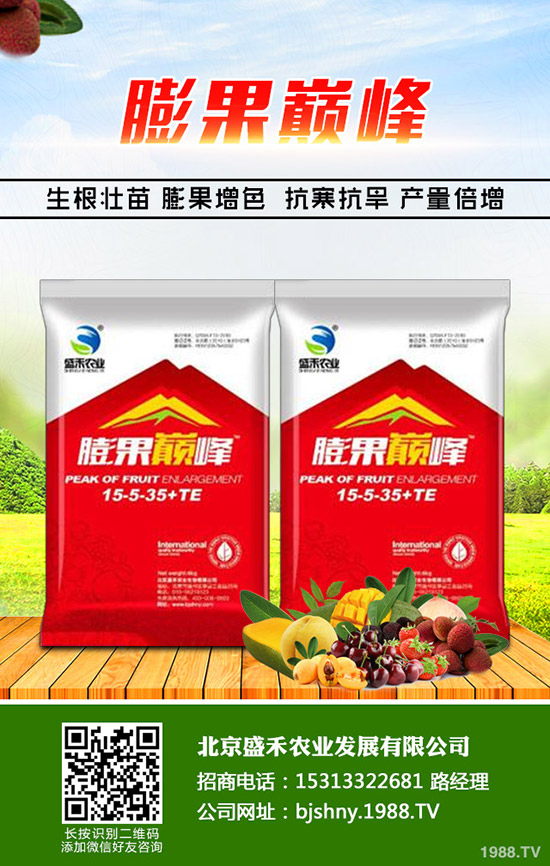 冬季大棚番茄空心果是什么原因，怎樣避免番茄空心果發(fā)生？