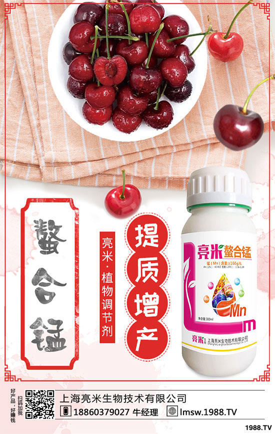 黃秋葵有哪些營養(yǎng)價值？黃秋葵高產栽培技術