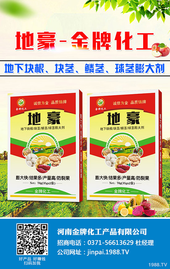 菠菜什么時(shí)候種更合適？菠菜種植技術(shù)和時(shí)間！