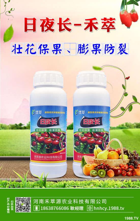 菠菜炭疽病的病因有哪些？菠菜炭疽病的防治要點(diǎn)！