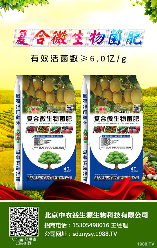 12月復(fù)合肥市場(chǎng)氣氛有望好轉(zhuǎn)！今日復(fù)合肥價(jià)格行情走勢(shì)分析！2019-11-30