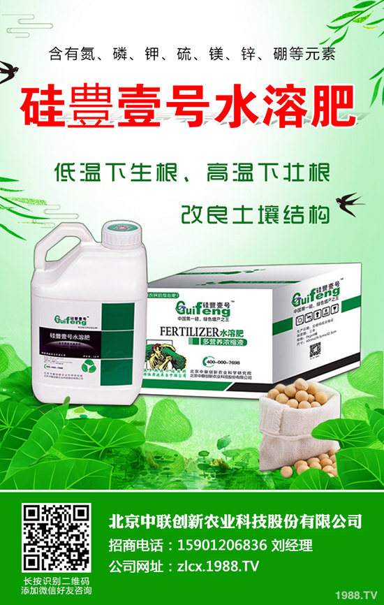辣椒的種植要點有哪些，辣椒地膜覆蓋栽培技術(shù)！
