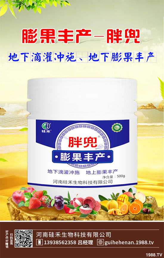 大棚西芹你知道該如何種植嗎？大棚西芹種植管理技術(shù)