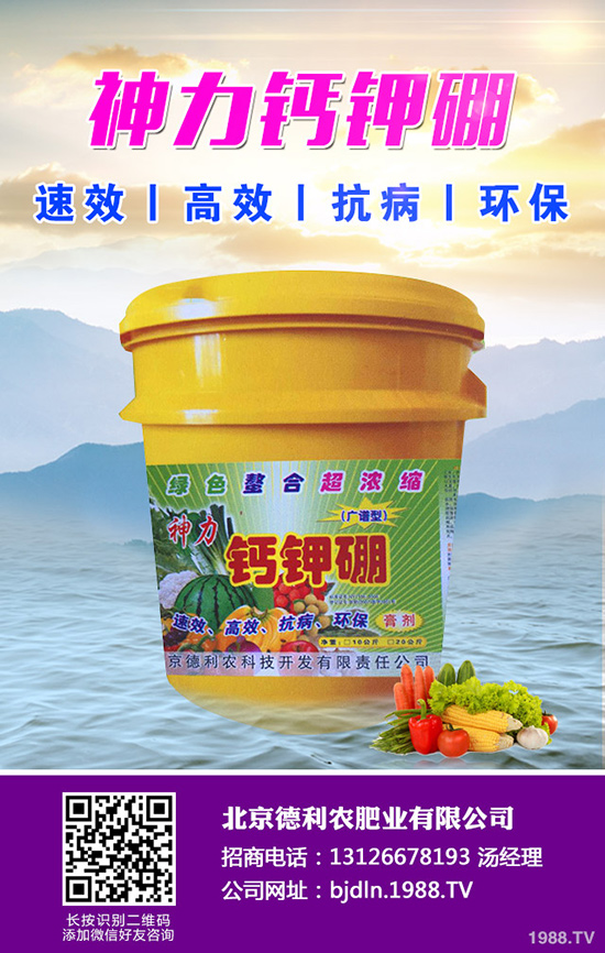 八月瓜種植前景如何，八月瓜種植要點！