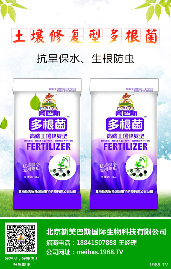 辣椒種植需注意哪些問題，辣椒出現(xiàn)高腳苗怎么辦？