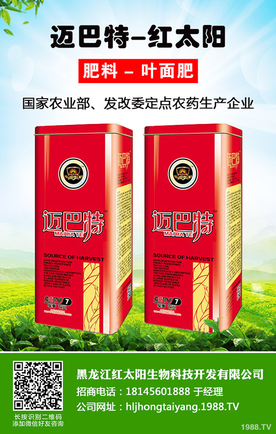菠蘿種植多久結(jié)果？一年結(jié)幾次果？菠蘿種植方法！