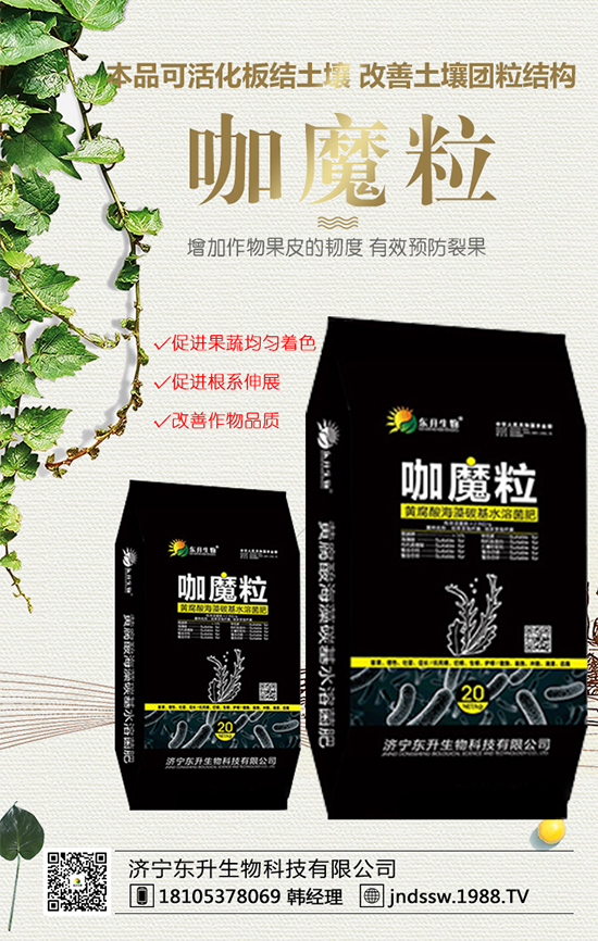 黑玉米價格多少錢一斤？2020年種植前景及效益分析！