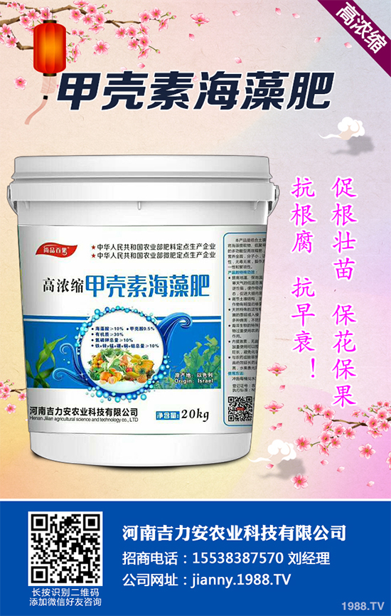 花椒樹什么時候種植？花椒樹種植季節(jié)及種植技術要點