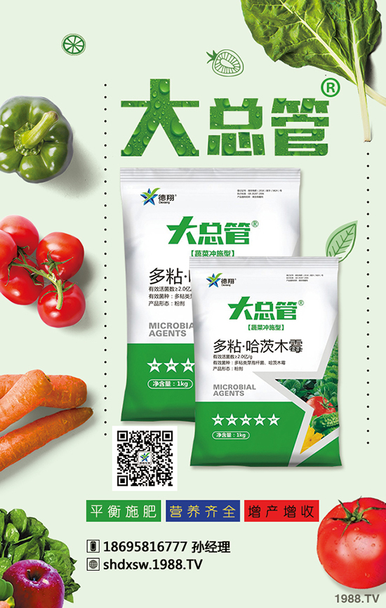 2020年蒜苗種植賺錢嗎？成本多少錢？效益怎么樣？前景如何？
