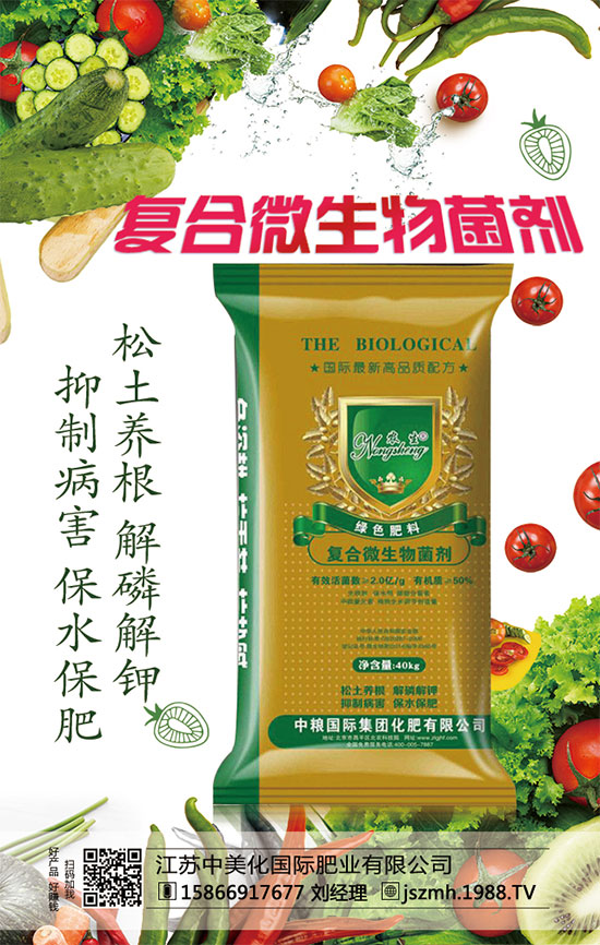     蘆筍市場價多少錢一斤？2020年蘆筍種植前景怎么樣？種植效益分析！