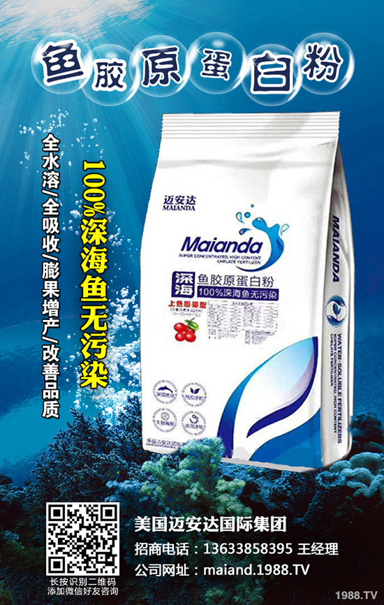 草莓旺長是什么原因，草莓控旺的方法有哪些？
