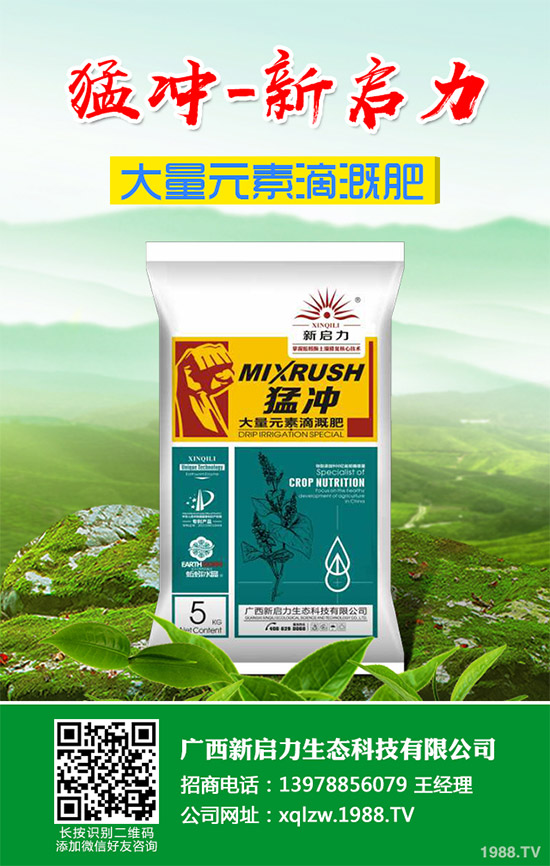 柚子有許多品種,各有各的風(fēng)味。但眼尖的人會(huì)發(fā)現(xiàn),市面上賣的紅肉蜜柚比普通蜜柚要貴上許多。同樣是柚子,外表看起來(lái)也差不多,紅肉蜜柚憑什么比白肉柚子貴?