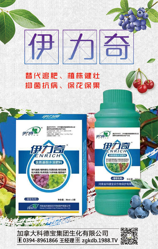     臨近年關(guān)！二銨行情是否上??！2020年二銨價格行情走勢預(yù)測！