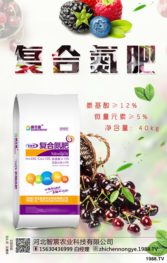 綠花菜該怎么種？綠花菜的高產(chǎn)種植技術(shù)