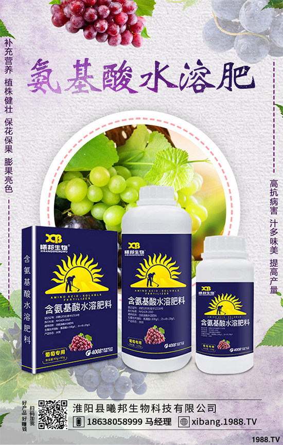 明年種植什么更賺錢？2020年七大賺錢種植項(xiàng)目，快來(lái)看看吧！
